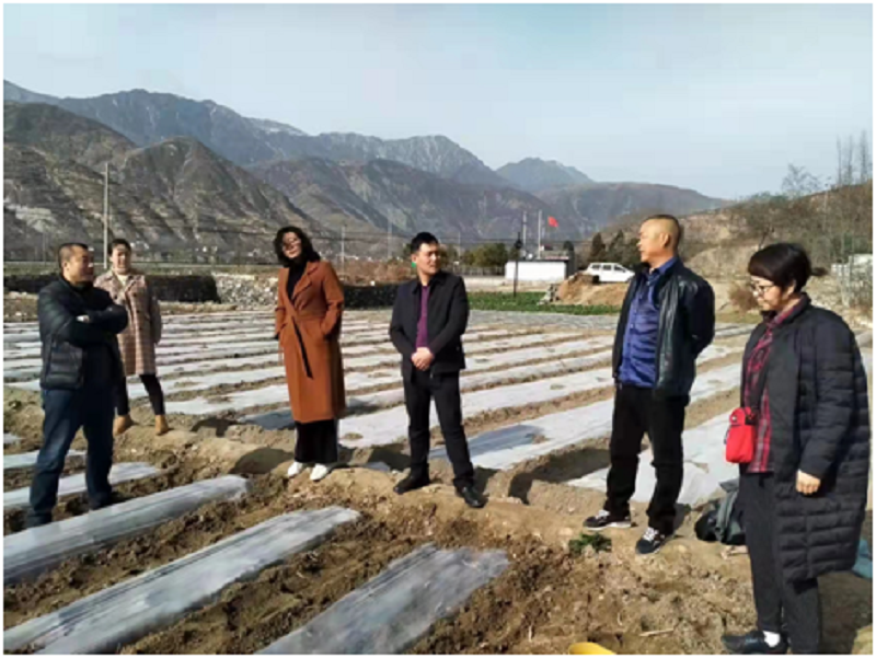 陇南市区两级能环站联合开展废旧地膜摸排清查活动