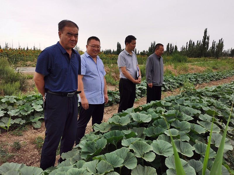 为职业农民颁证   为乡村振兴育才——2021年度“酒泉好人”姜生林典型事迹