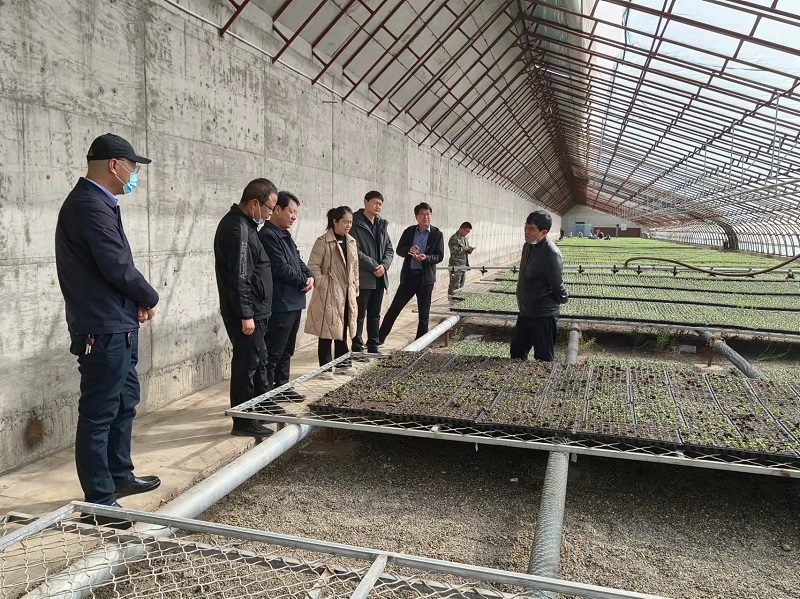 瓜州：技术勤指导  不负春耕时