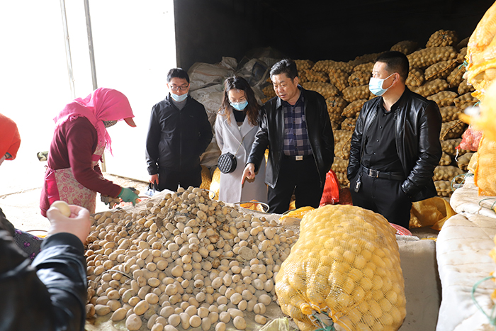 张掖市农业农村局对2022年全市粮食计划落实情况进行督导