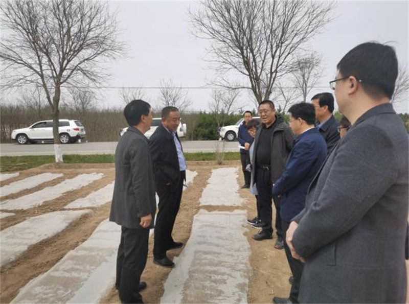 省农业农村厅督导调研庆阳市春耕生产