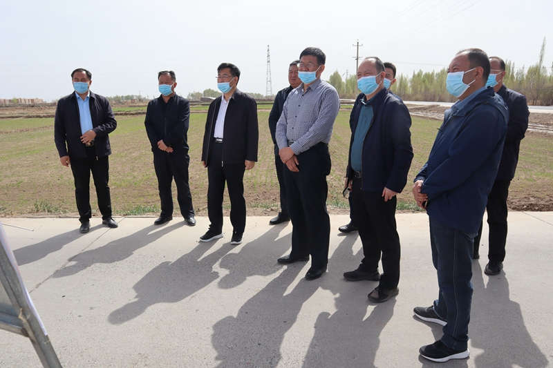 省农业农村厅调研组赴临泽县调研口粮田建设及小麦标准化种植基地建设情况