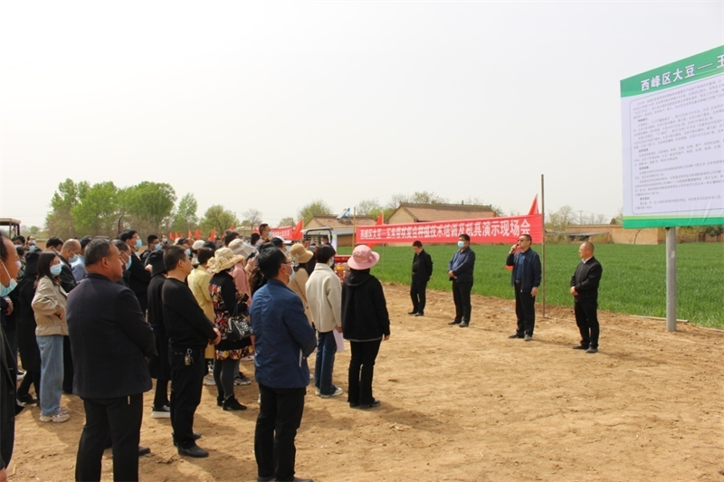 西峰区召开2022年大豆玉米带状复合种植技术培训及机具演示现场会