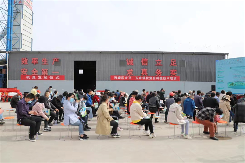 西峰区召开2022年大豆玉米带状复合种植技术培训及机具演示现场会