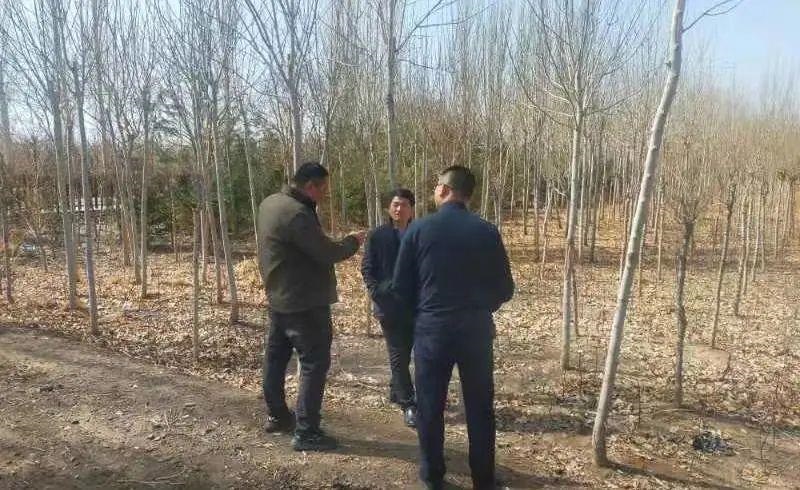 瓜州县筑牢生态安全屏障