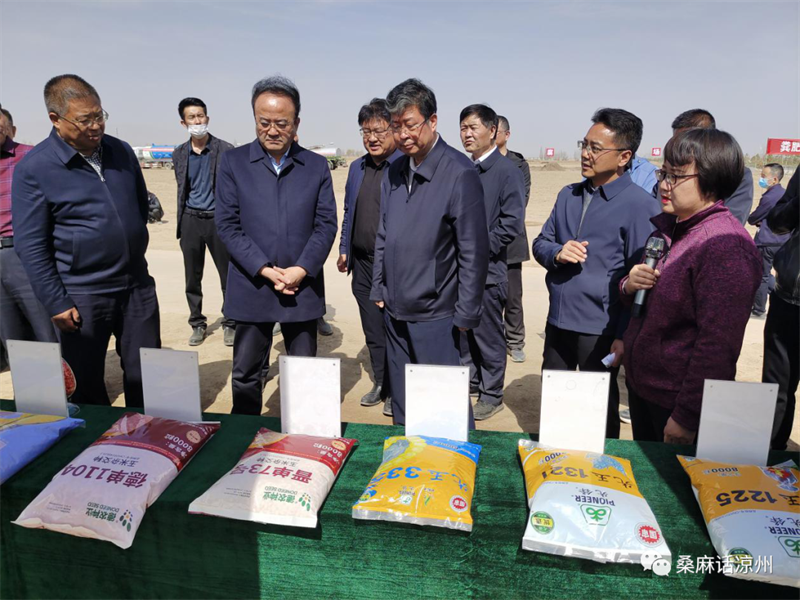 凉州区：加强良种保障 推动种业振兴