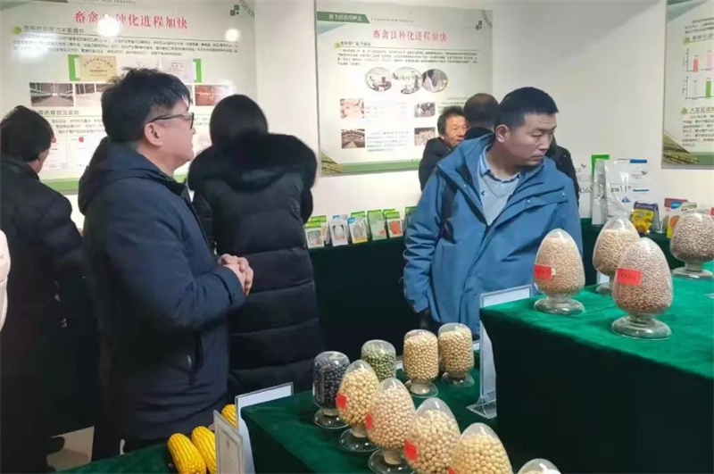 凉州区：加强良种保障 推动种业振兴