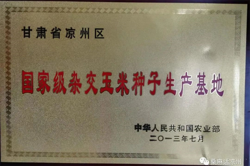 凉州区：加强良种保障 推动种业振兴