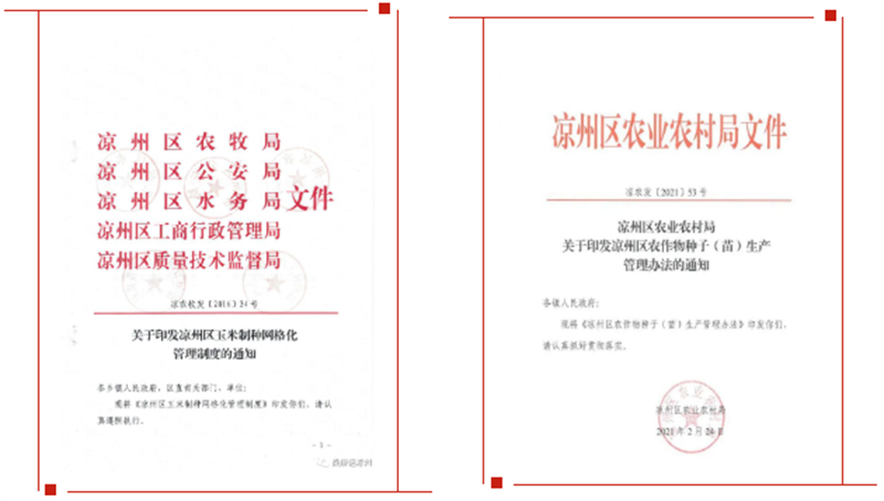 凉州区：加强良种保障 推动种业振兴