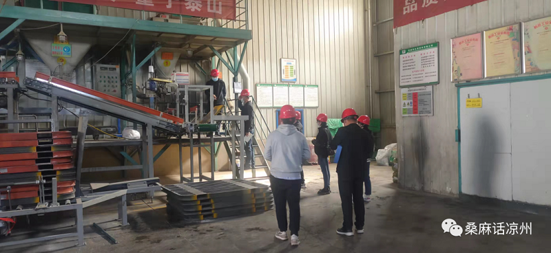 凉州区：加强饲料和畜禽安全生产 保障畜牧业快速持续发展
