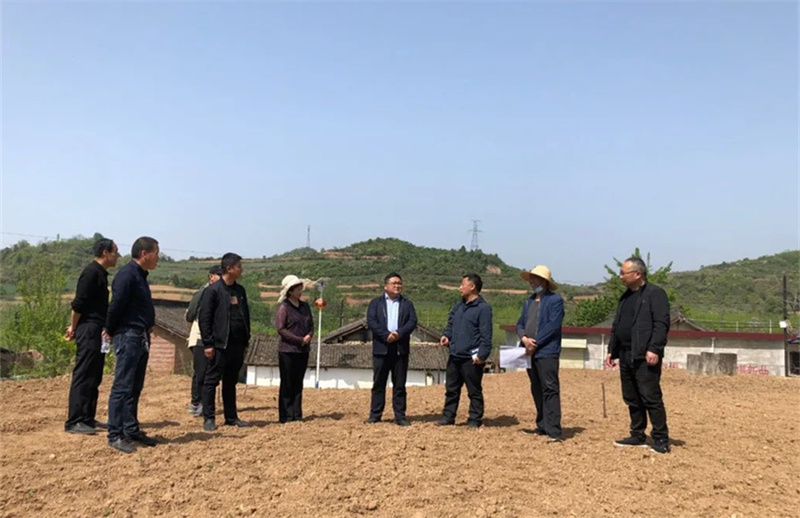省农科院小麦研究所专家曹世勤调研指导徽县小麦生产