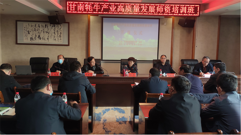 甘南牦牛产业高质量发展师资培训班暨座谈会在合作市举办