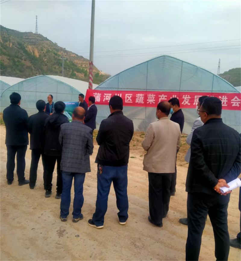 镇原县蒲河川区蔬菜产业推进会在新集镇新庄村圆满召开