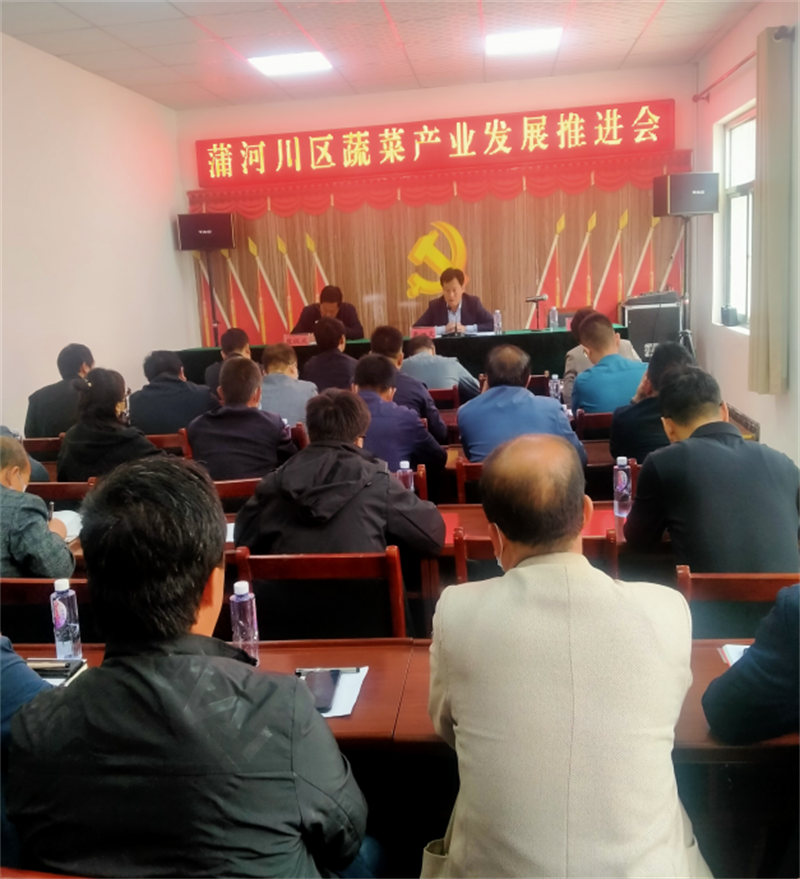 镇原县蒲河川区蔬菜产业推进会在新集镇新庄村圆满召开