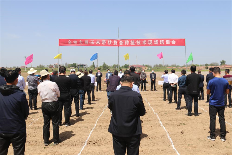 庆阳市大豆玉米带状复合种植技术现场培训会召开