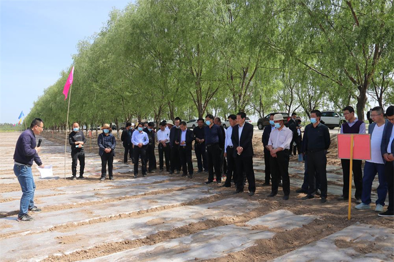 庆阳市大豆玉米带状复合种植技术现场培训会召开