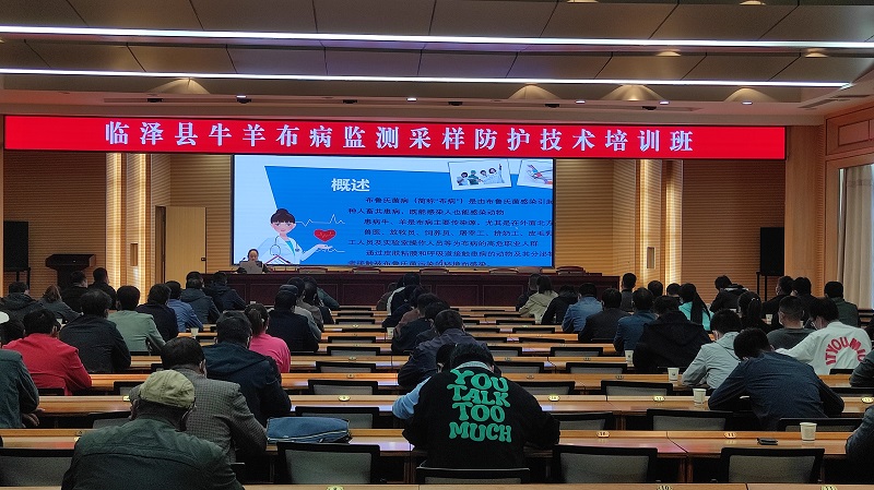 临泽县农业农村局举办全县牛羊布鲁氏菌病监测防护技术培训班