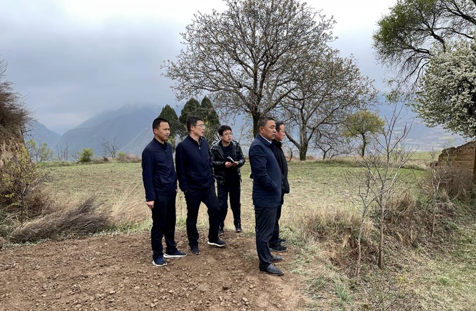 武山县农业农村局深入宁远古堡文化产业园优化农业产业布局
