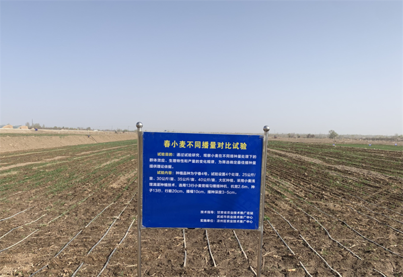 凉州区：立足高标准农田，打造“节水丰产”样板