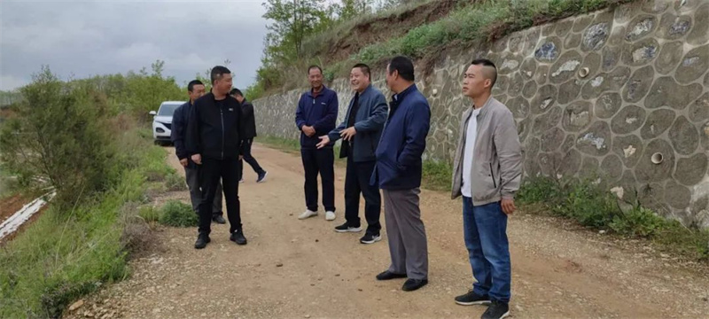 省农业农村厅乡村振兴产业督导队队长李范文一行深入洛峪镇调研指导粮食安全和撂荒地整治等工作