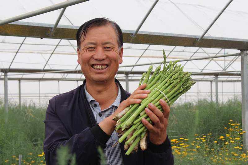 “洞庭虫草”落户瓜州助农增收
