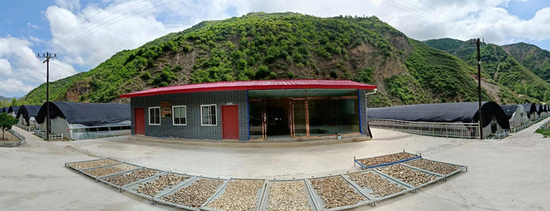 宕昌韩院乡：党建托起百姓“稳稳的幸福”