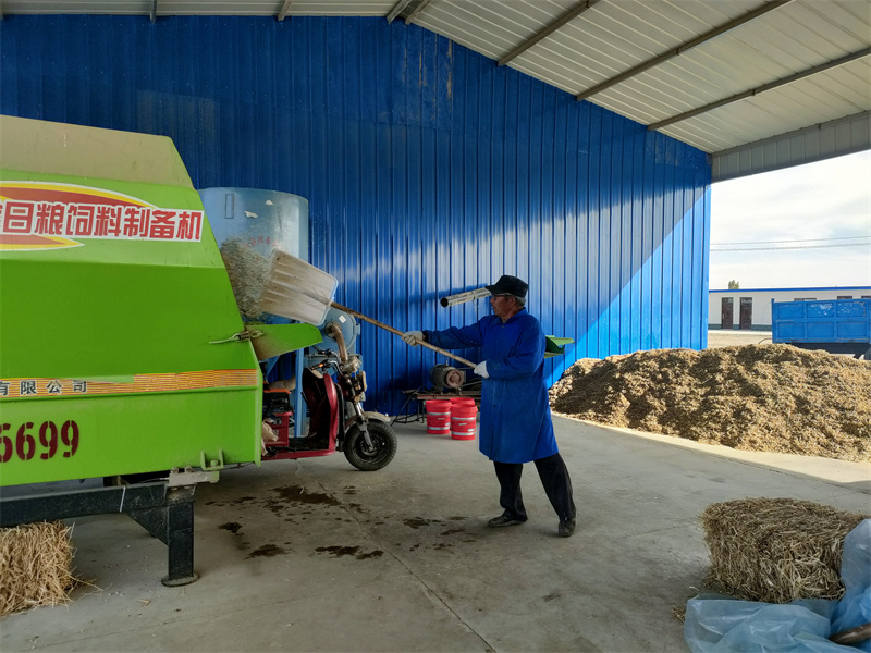 酒泉市金塔县：羊产业奏响乡村振兴新乐章