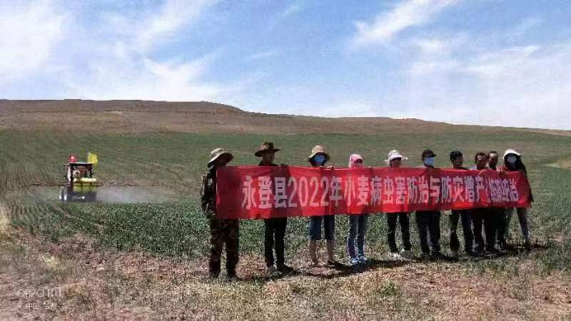 永登县：抓粮食保安全  科技抗旱稳增产