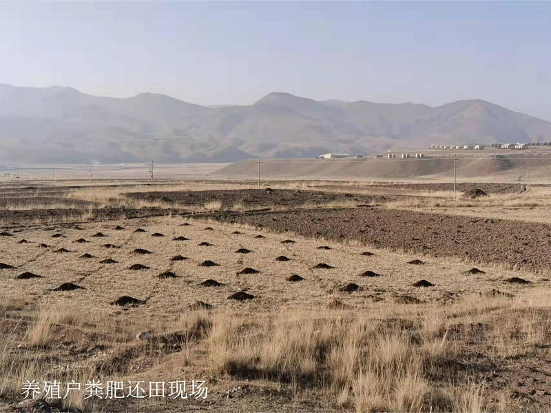 夏河县大力发展绿色循环农业助力乡村振兴