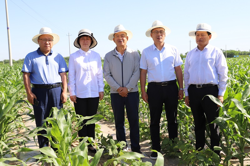 全省小麦绿色高效生产暨农技推广抓点示范现场观摩和培训交流活动在镇原县观摩