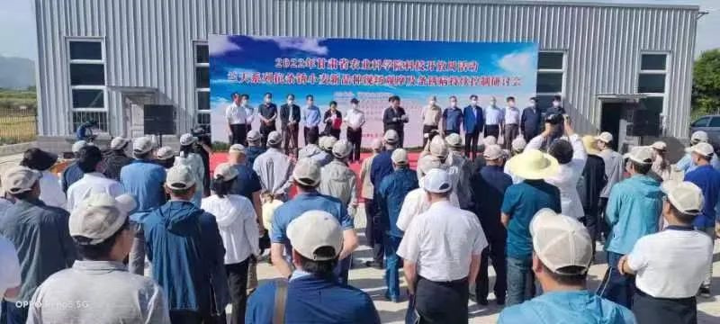徽县积极帮助种子企业纾困解难题