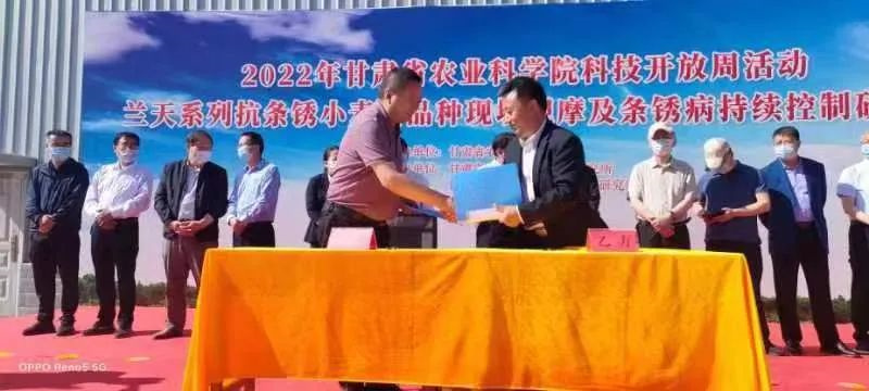 徽县积极帮助种子企业纾困解难题