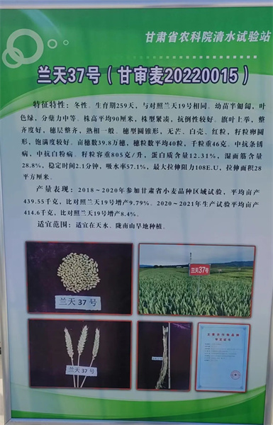 徽县积极帮助种子企业纾困解难题