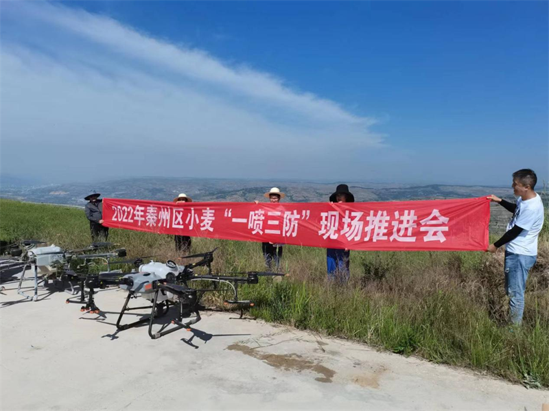 秦州区：扎实开展小麦“一喷三防” 保障夏粮增产增收