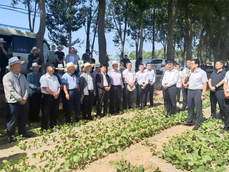 全省小麦绿色高效生产暨农技推广抓点示范观摩团在泾川县观摩