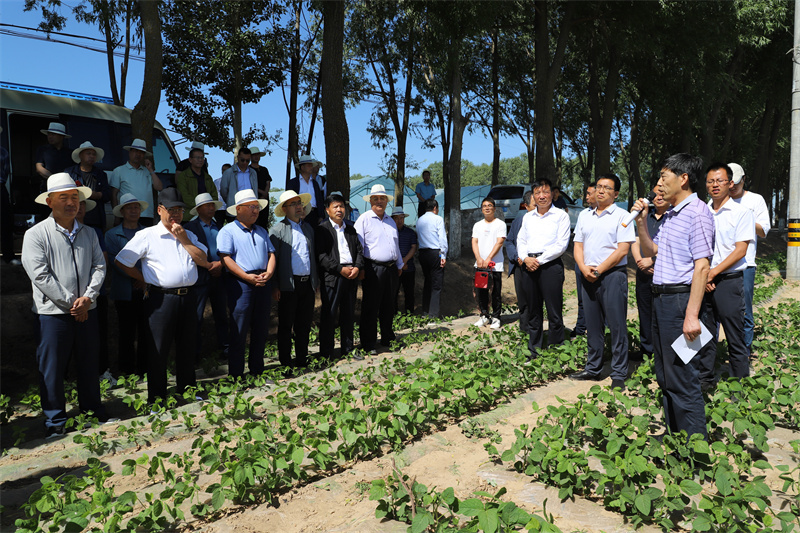 全省小麦绿色高效生产暨农技推广抓点示范观摩培训会议召开