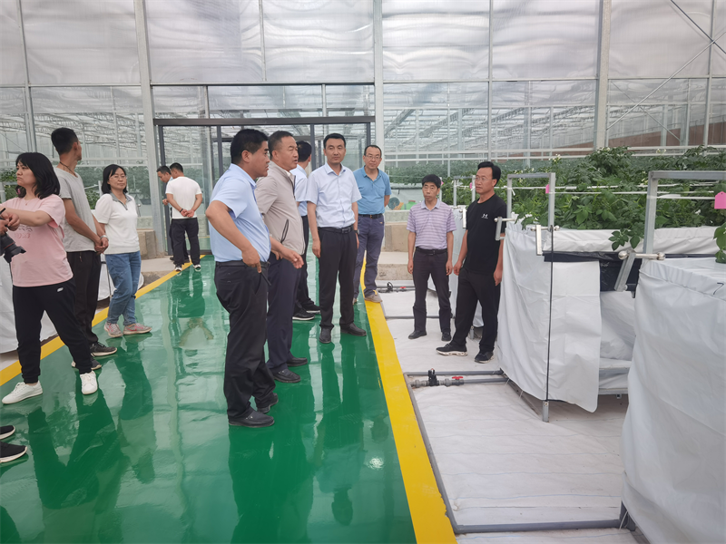 省农业技术推广总站调研组一行赴庄浪县调研农技推广工作