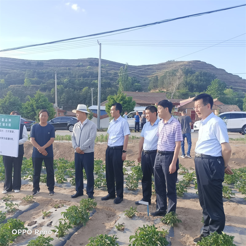 省农业技术推广总站调研组一行赴庄浪县调研农技推广工作