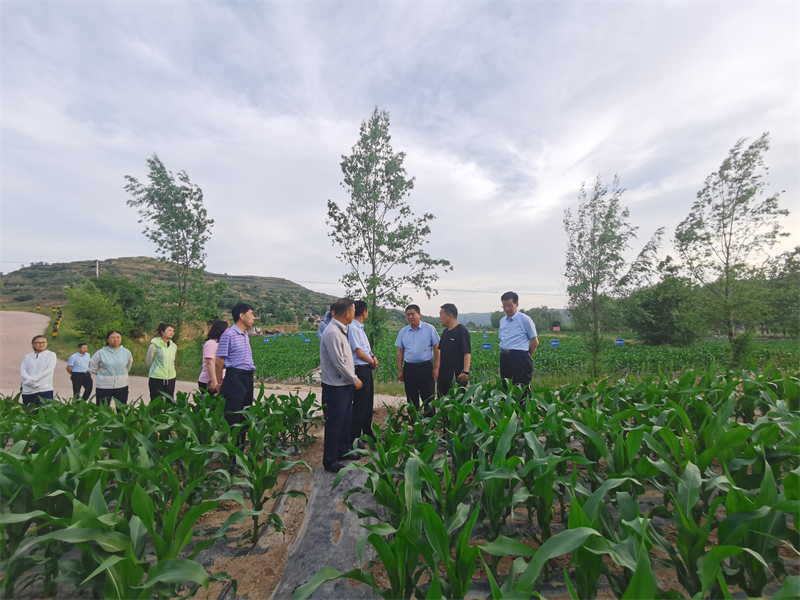 省农业技术推广总站调研组一行赴庄浪县调研农技推广工作