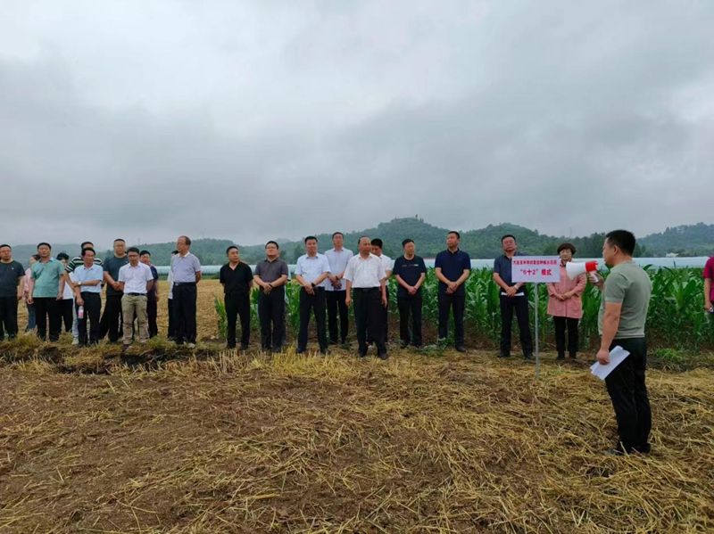 甘肃省植保植检站在陇南市组织召开大豆玉米带状复合种植技术培训及观摩活动