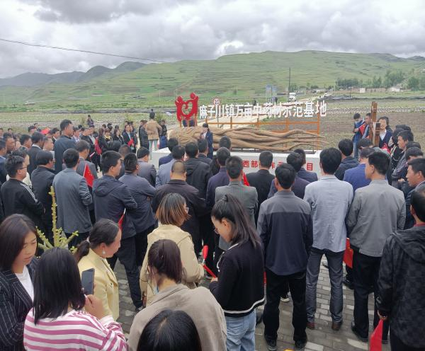 岷县农技中心强化土肥技术集成推广确保特色产业健康发展