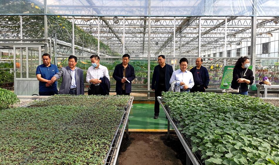 省农业农村厅来武山县开展农产品质量安全县“回头看”省级核查工作