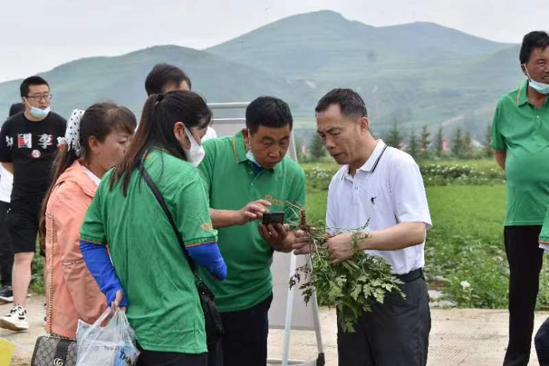 岷县道地药材病虫害绿色防控技术高峰论坛举办