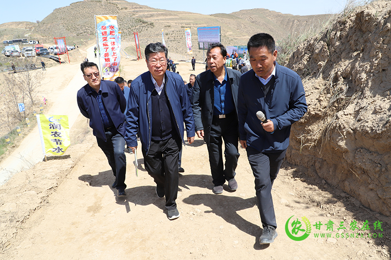 今年安定区打造化肥减量增效“三新”升级版推广面积3万亩
