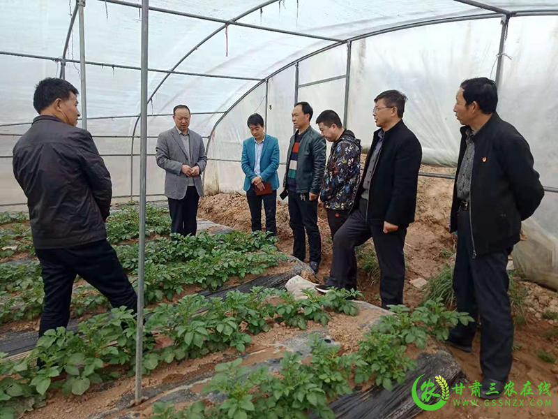 绿色种养循环农业项目让武山县畜禽粪污资源化利用率提高到90%以上