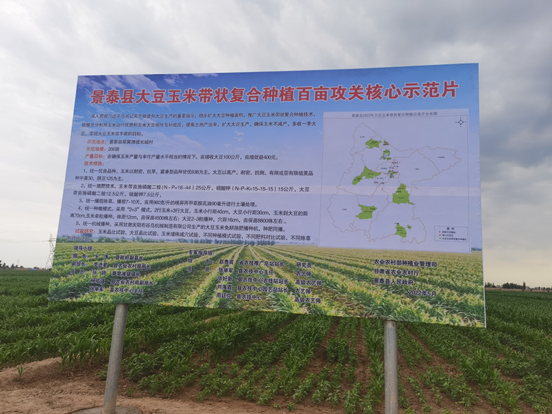 景泰县绿色高质高效行动创建目标力争玉米不减产大豆产量达到100公斤