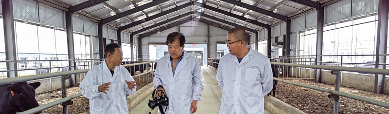 省畜牧兽医研究所赴镇原县开展肉牛产业抓点示范
