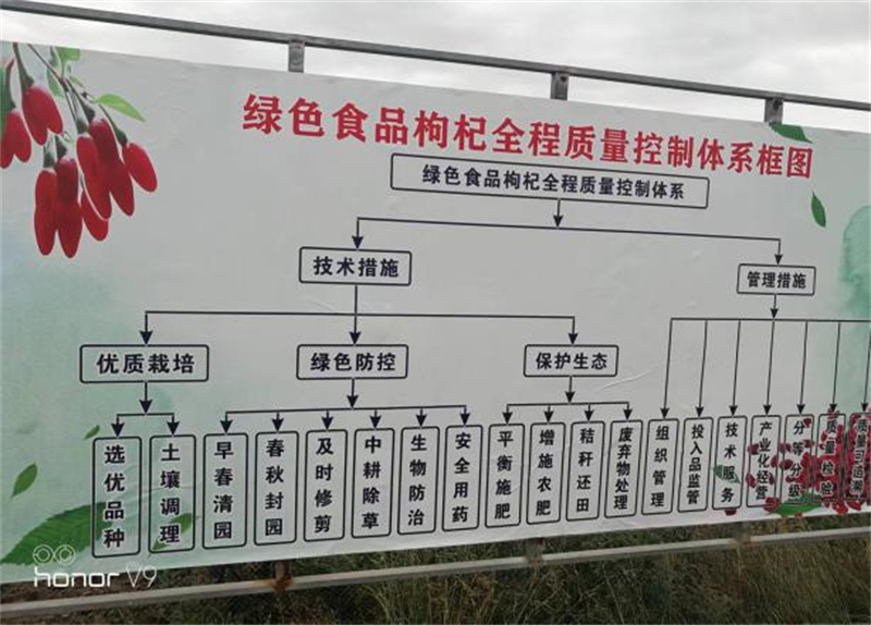 武威市农业品牌建设成效