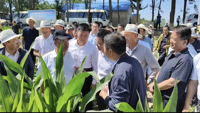 泾川县今年在8个乡（镇）组织创建百亩高产攻关方