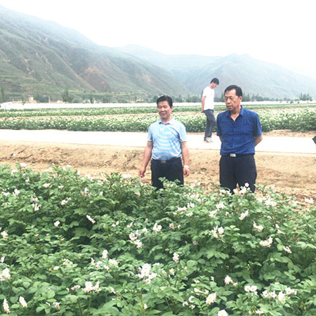 安定区今年在十个乡镇开展减肥示范带建设